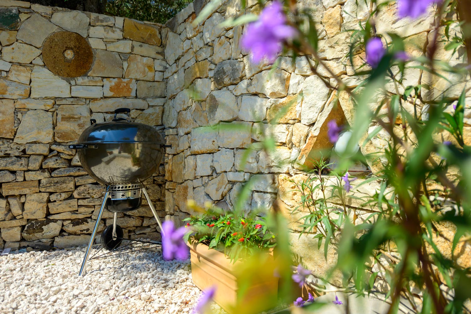 Serenity — photo 10